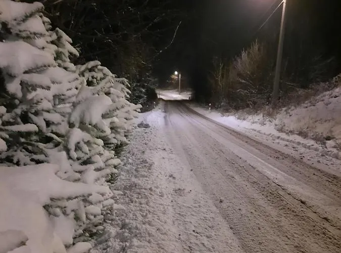 Zeleni Brig ムクロパイ