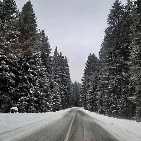 בית כפרי Zeleni Brig *