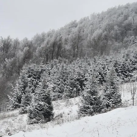 Zeleni Brig * מרקופאלי
