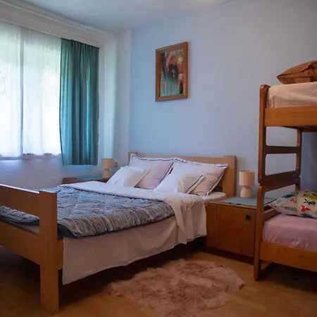 Zeleni Brig *