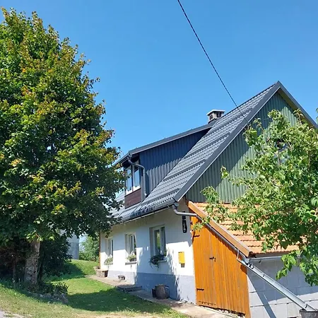 Zeleni Brig
