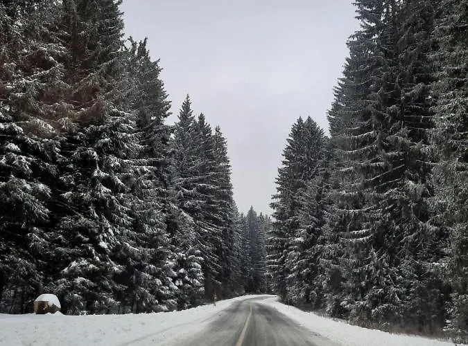 乡村民宿 Zeleni Brig *